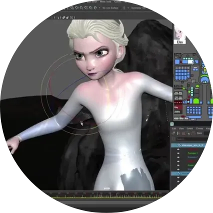 Designing Customized Animations