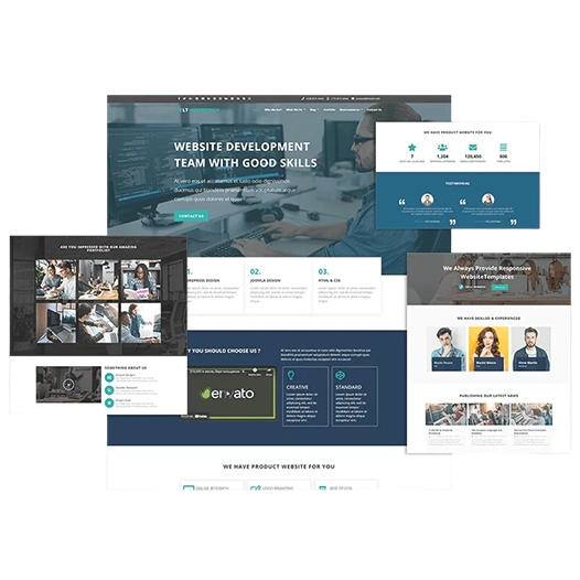 Website Designing Agency