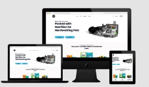 Website UI/UX Design